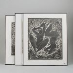 1630 6203 Linoliumgravyrer